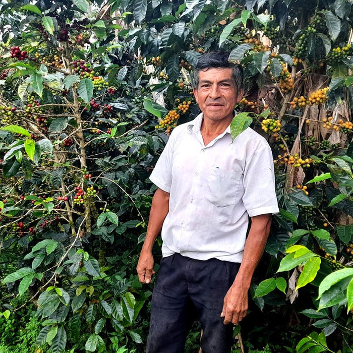 New Release | Casimiro Huancas, Peru - Seven Seeds
