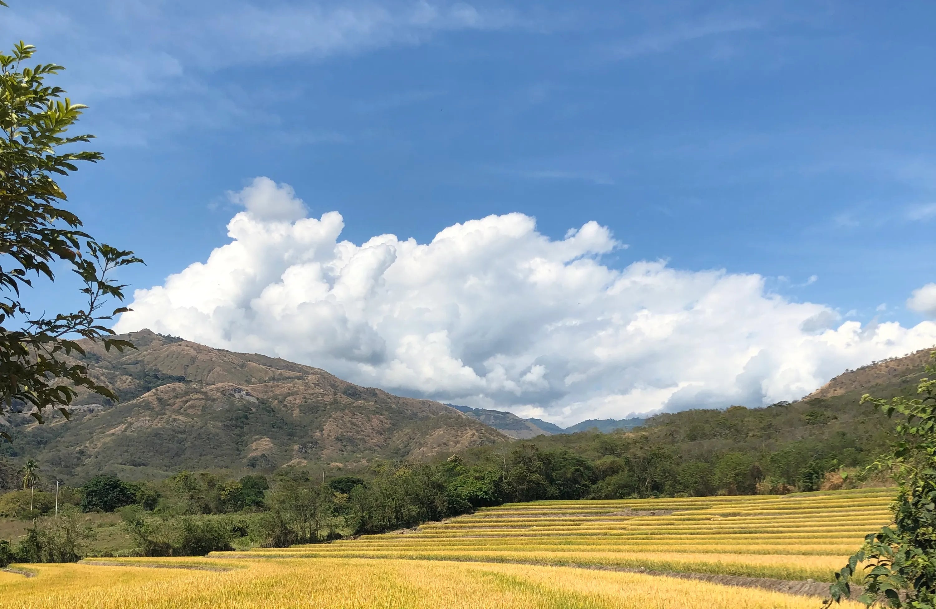 New Release | El Conjuro, Peru