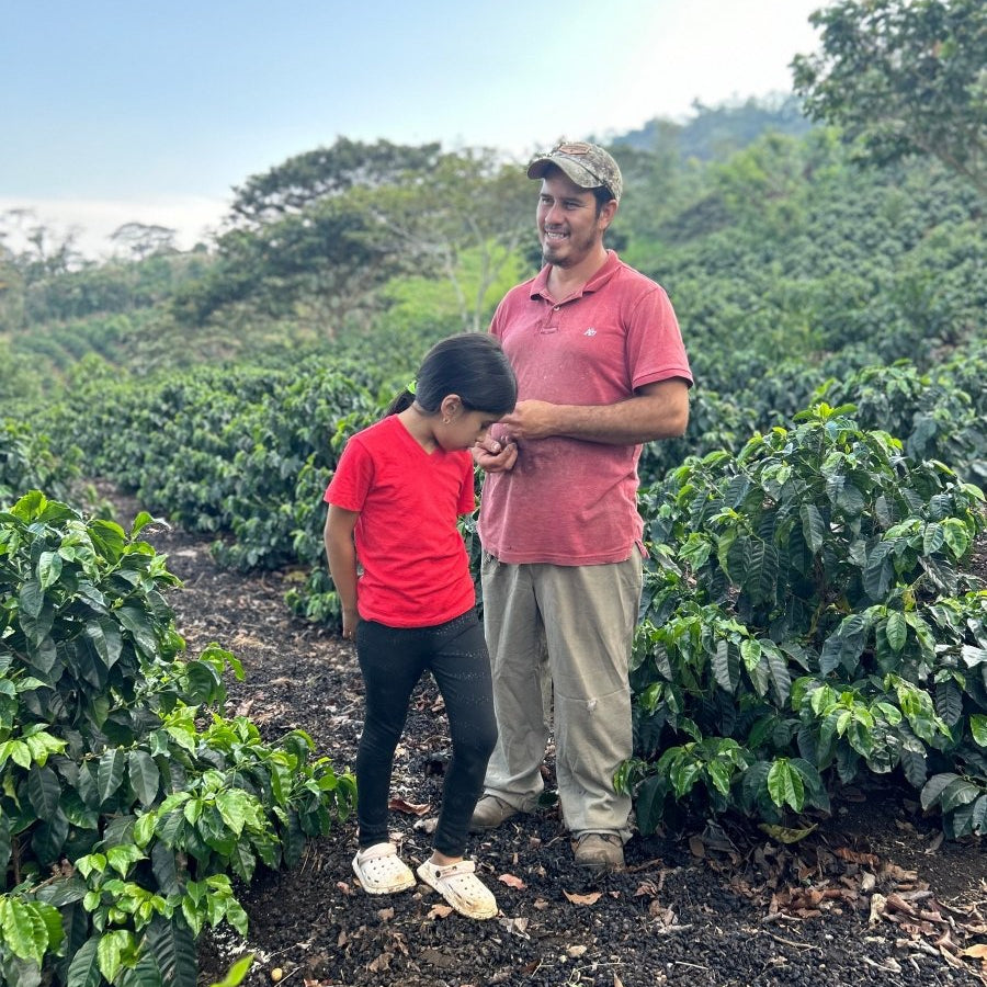 New Release | Evin Moreno Geisha, Honduras - Seven Seeds