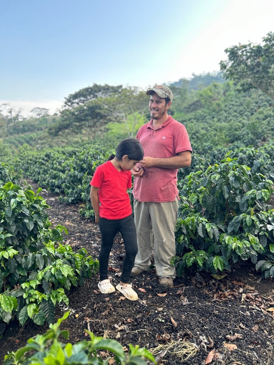 New Release | Evin Moreno Geisha, Honduras - Seven Seeds