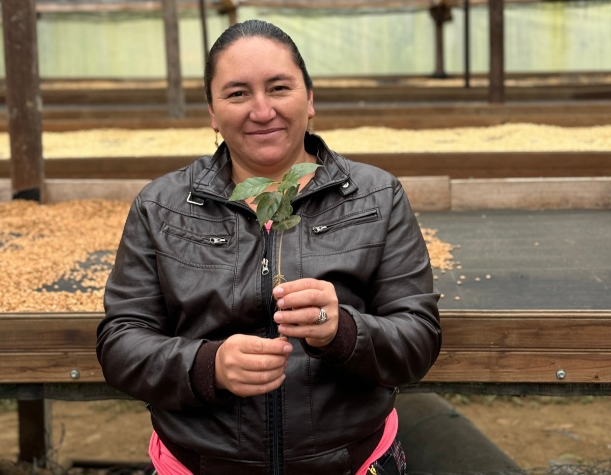 New Release | Maria Reyes, Honduras - Seven Seeds