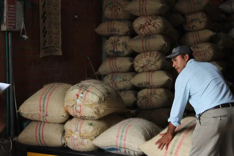 New Release | Matambo, Colombia - Seven Seeds