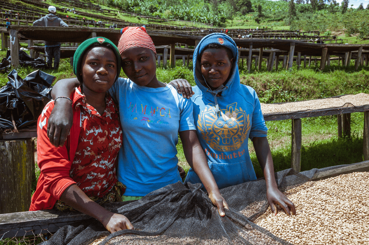 New Release | Musasa, Rwanda — Seven Seeds