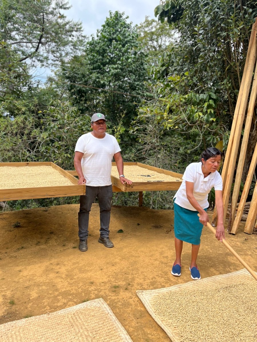 New Release | Praxadez Lopez, Mexico - Seven Seeds