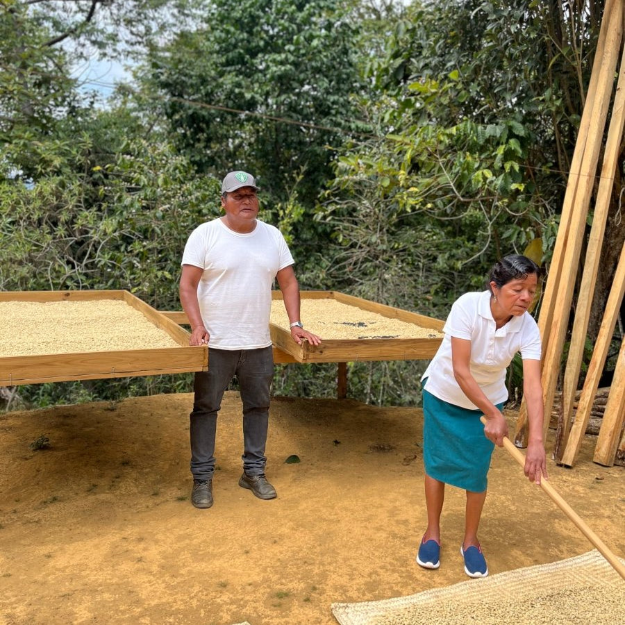 New Release | Praxadez Lopez, Mexico - Seven Seeds