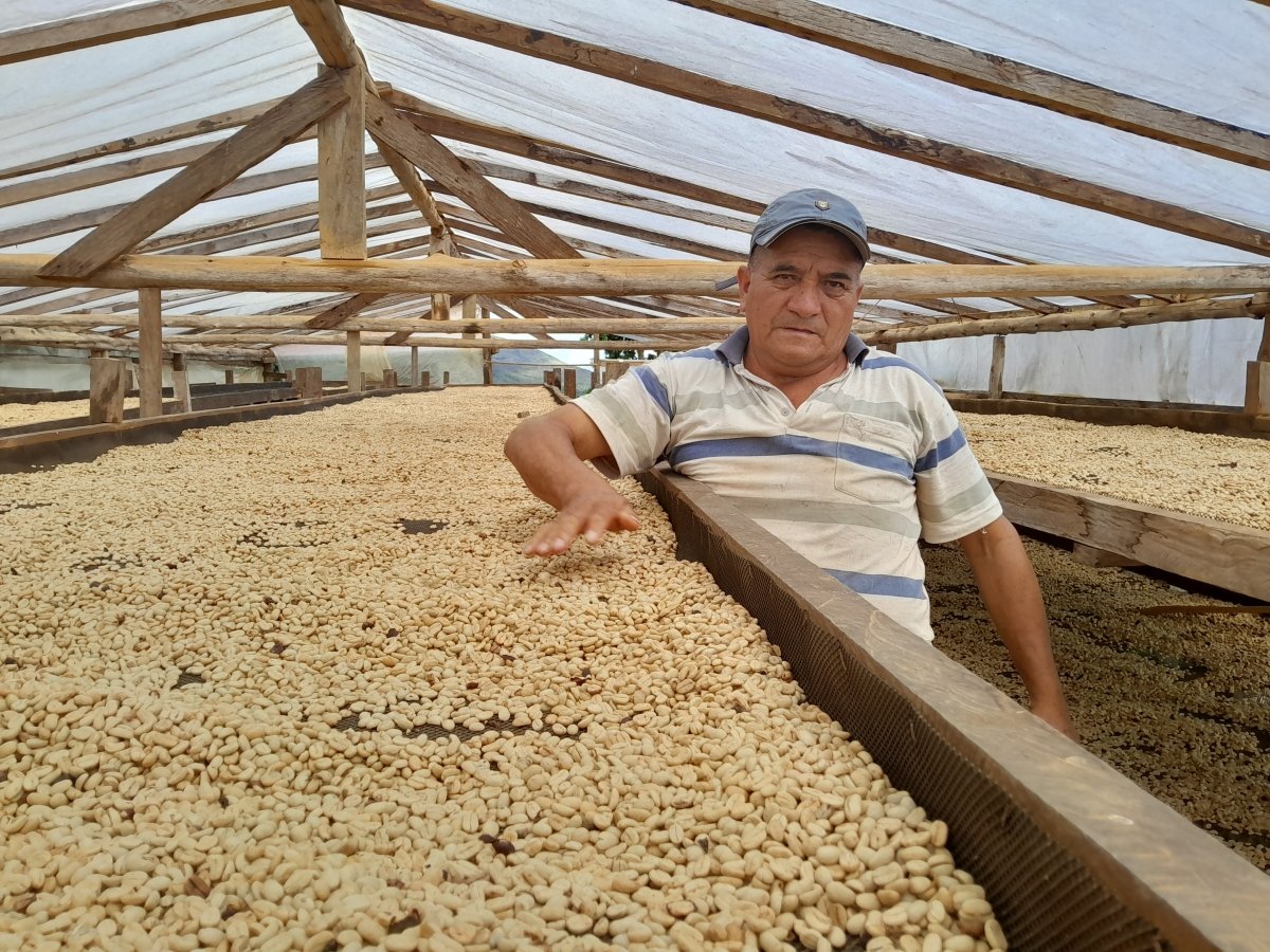 New Release | Roger Quispe, Peru - Seven Seeds