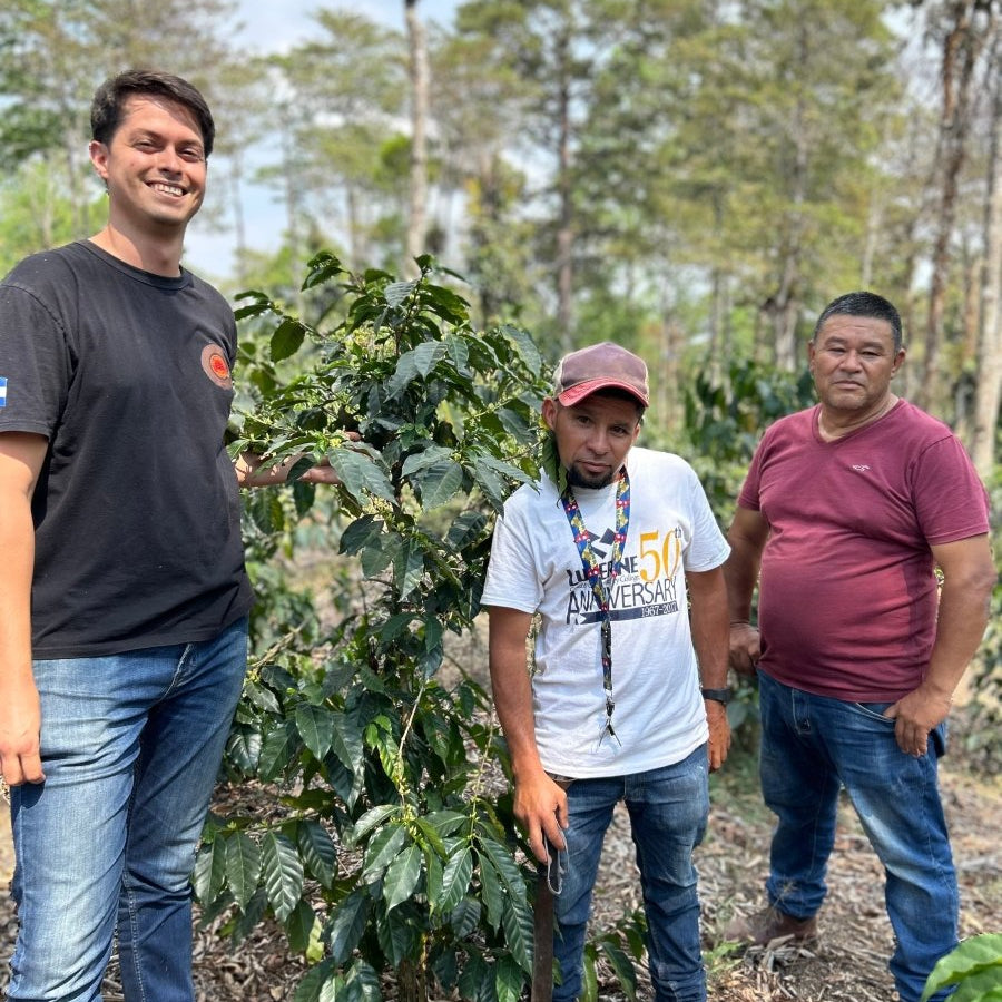 New Release | Santa Lucia Gesha, Honduras - Seven Seeds