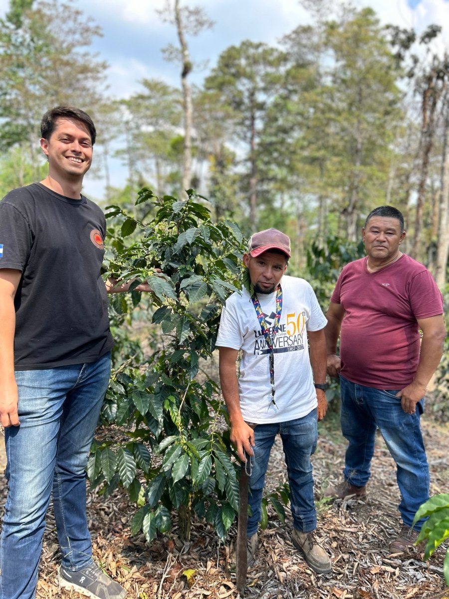 New Release | Santa Lucia Gesha, Honduras - Seven Seeds