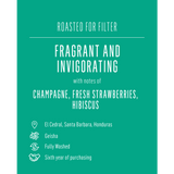 Evin Moreno Geisha, Honduras