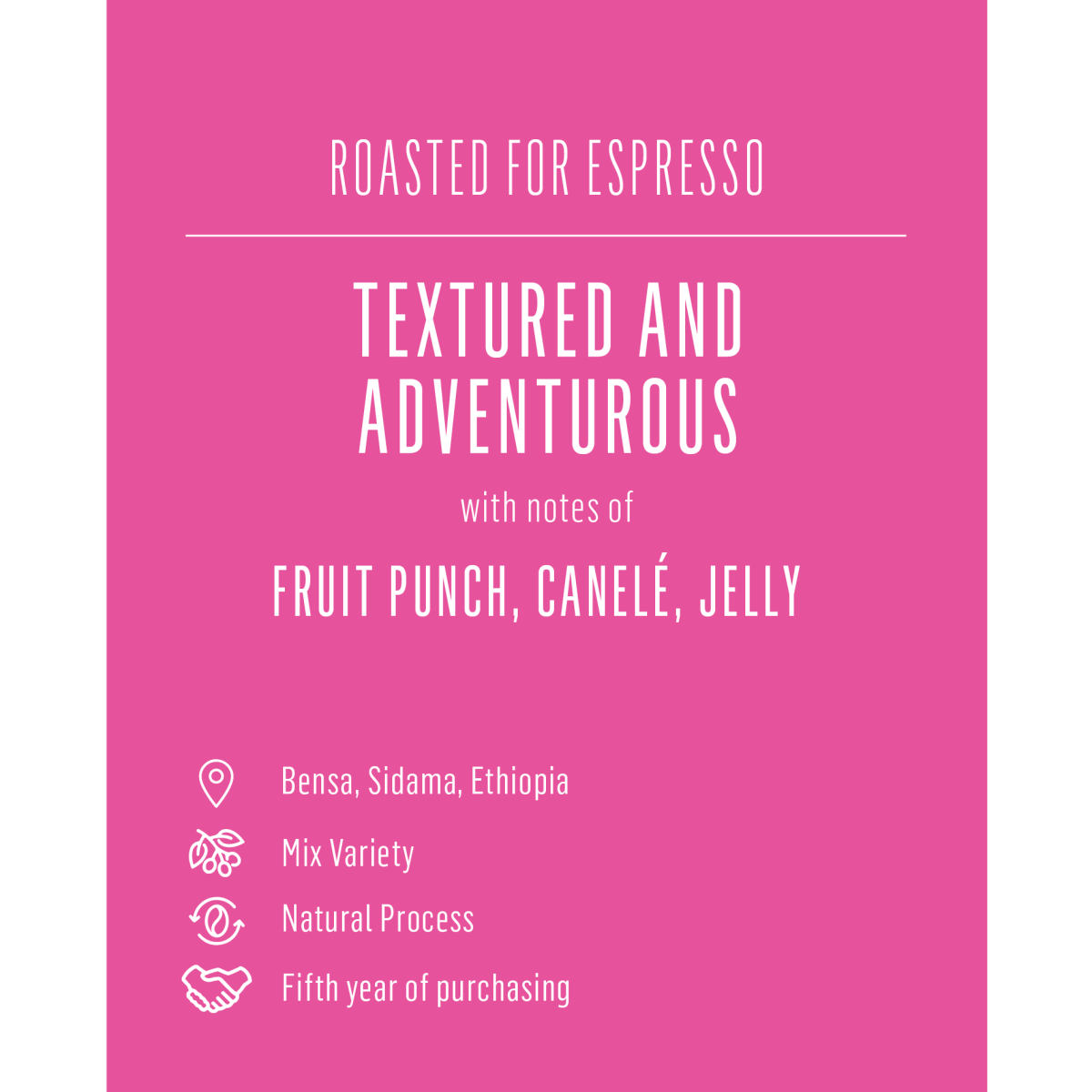 Bekele Belaycho, Ethiopia - Seven Seeds