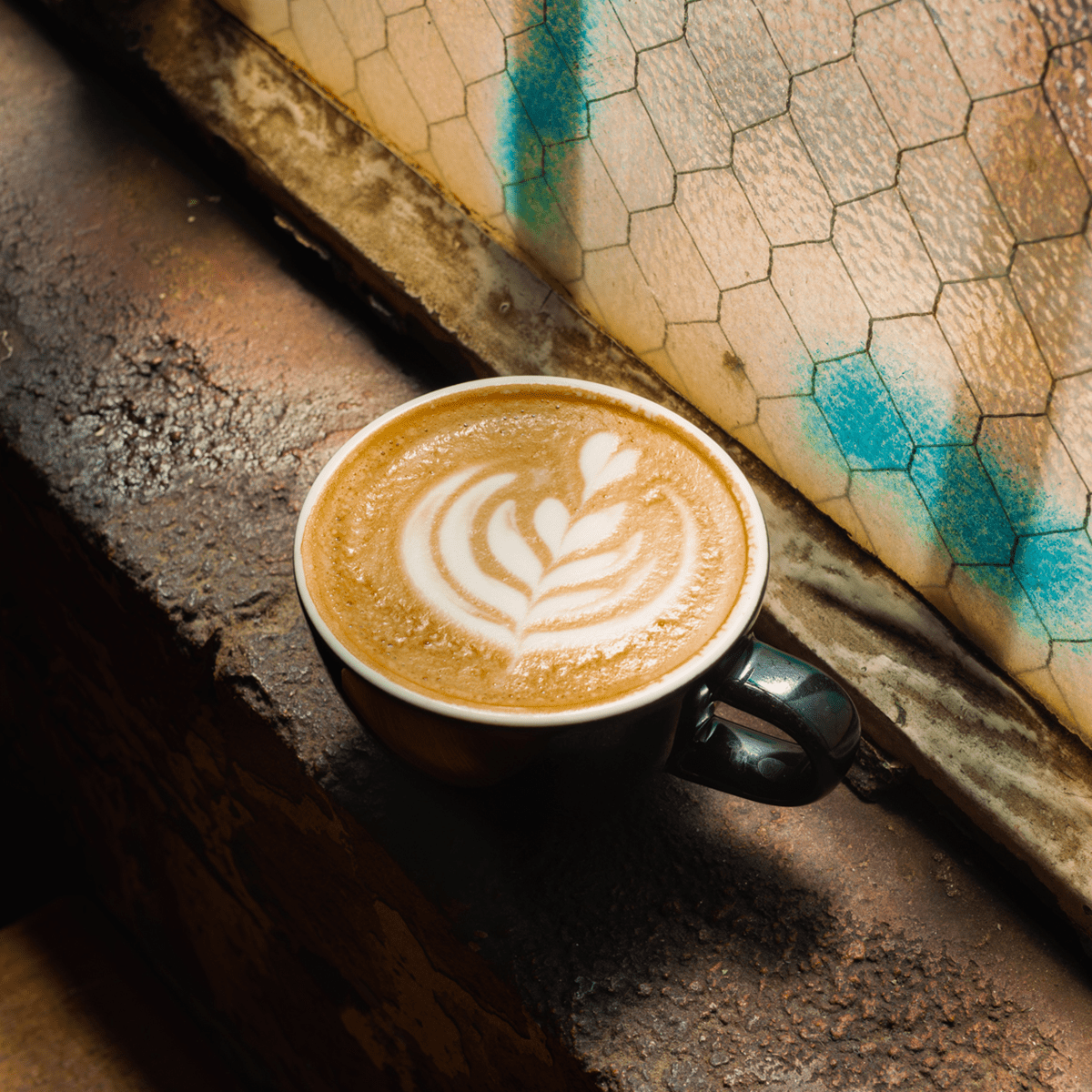 Home Barista Course - Seven Seeds