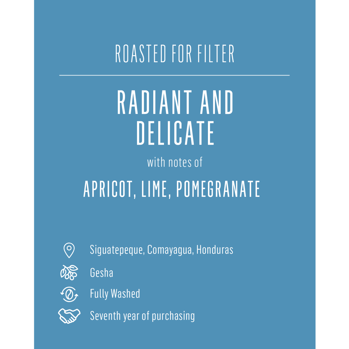 Santa Lucia Gesha, Honduras - Seven Seeds