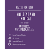 Tadesse Yonka, Ethiopia - Seven Seeds