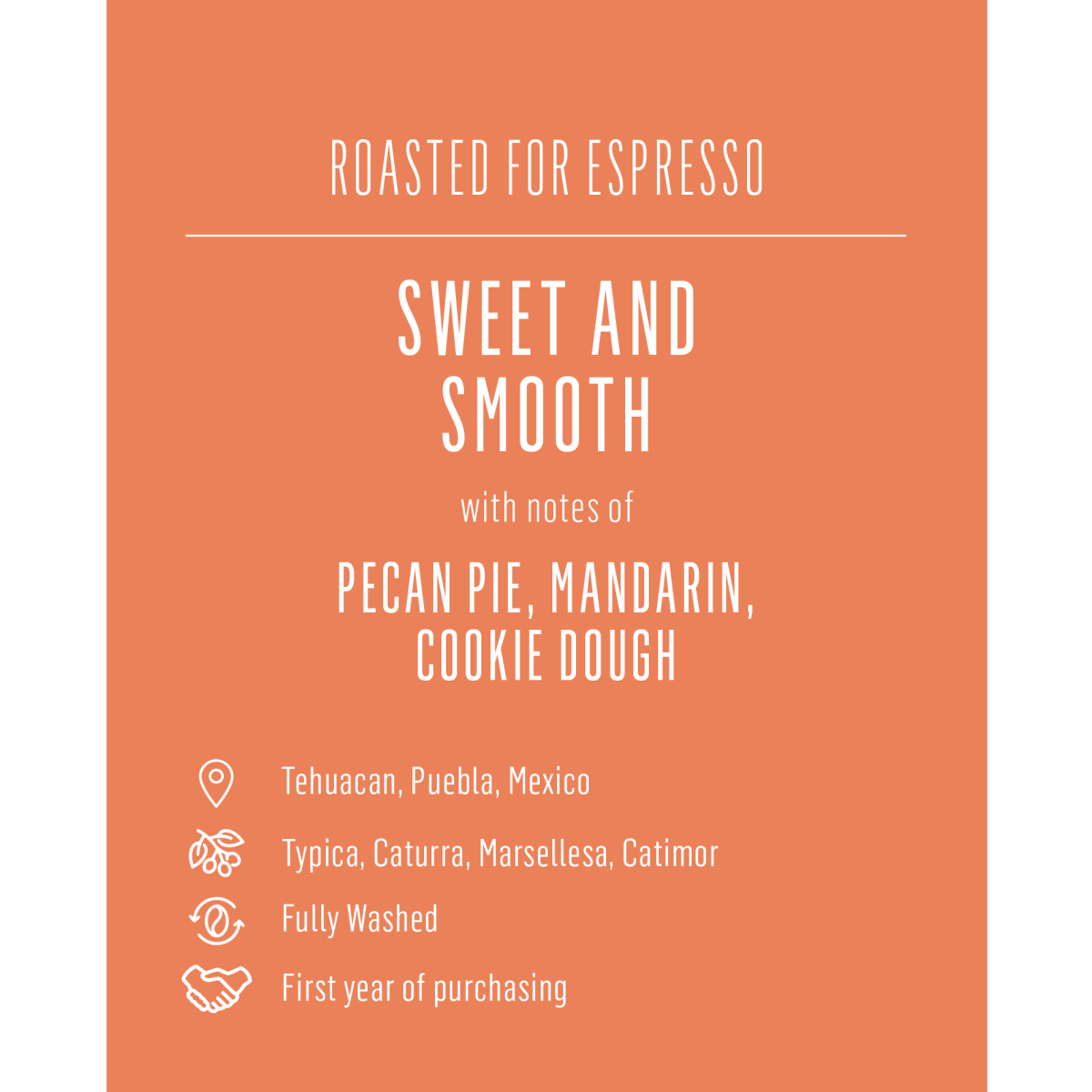 Tehuacan de la Sierra, Mexico - Seven Seeds